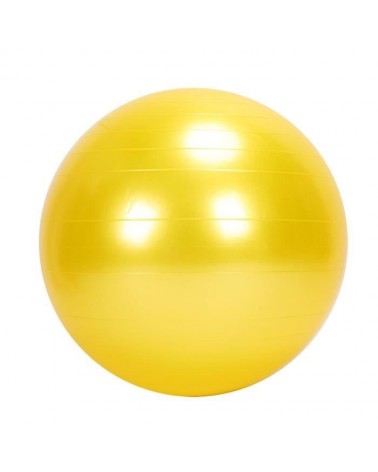 Ballon ABS Gym Ball / Diam 45
